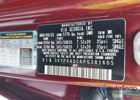 2023 Kia Telluride S z USA, uszkodzony, nr VIN 5XYP64GC6PG381605